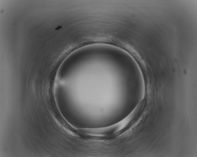 X0000081480201200701121453