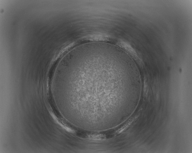 X0000081480202200701121453