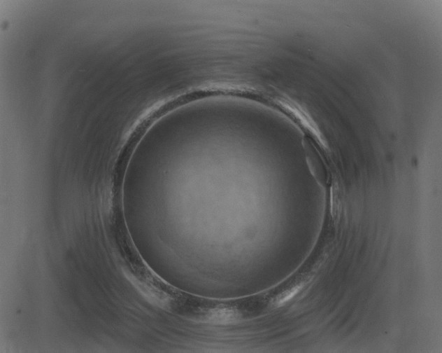 X0000081480204200701121453