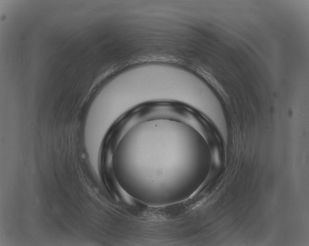 X0000081480207200701121453