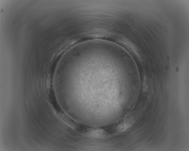 X0000081480210200701121453