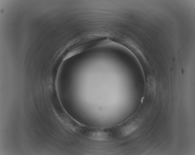 X0000081480212200701121453