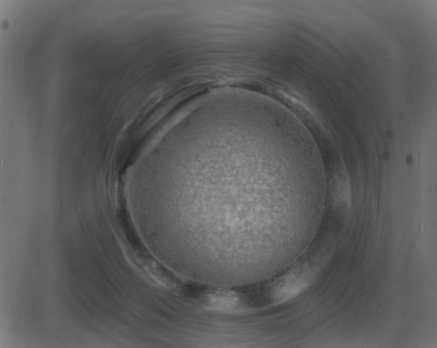 X0000081480214200701121453