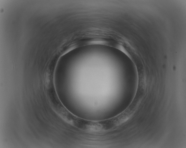 X0000081480215200701121453