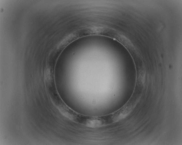 X0000081480220200701121453