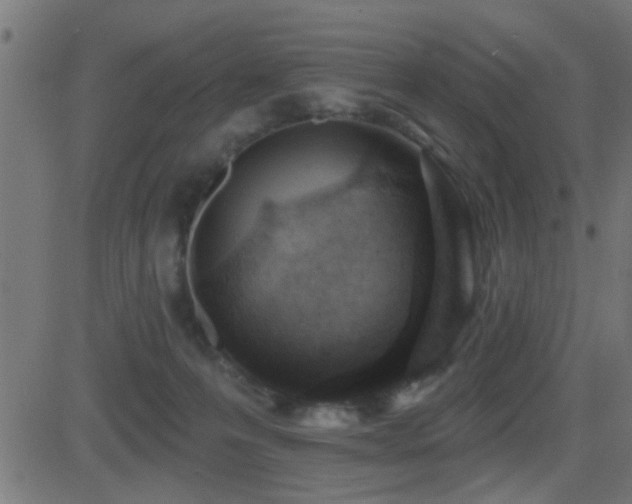 X0000081480223200701121453