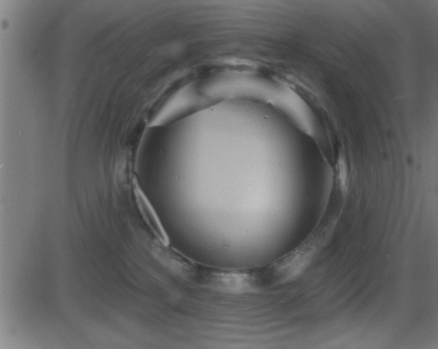 X0000081480233200701121453