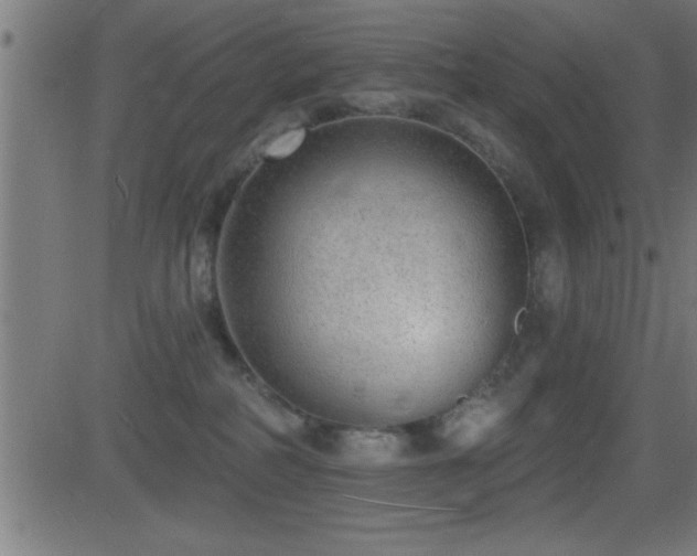 X0000081480234200701121453