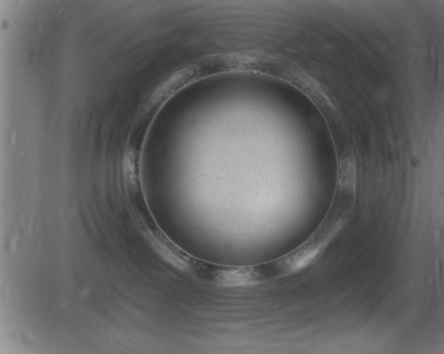 X0000081480238200701121452