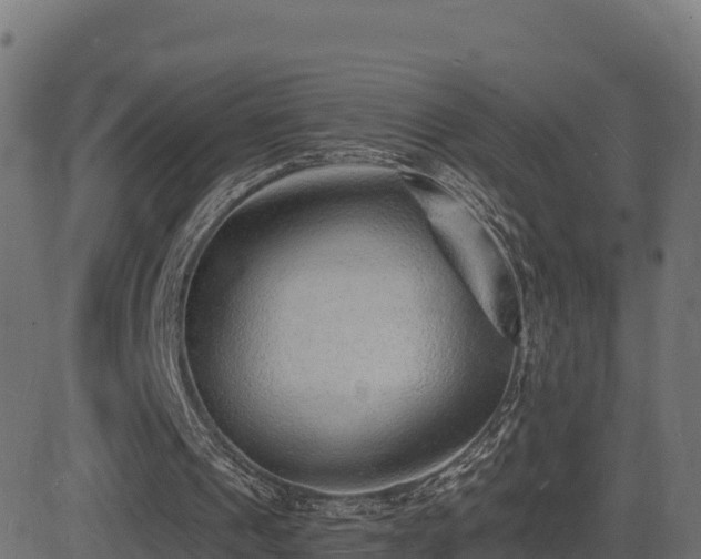 X0000081480241200701121452