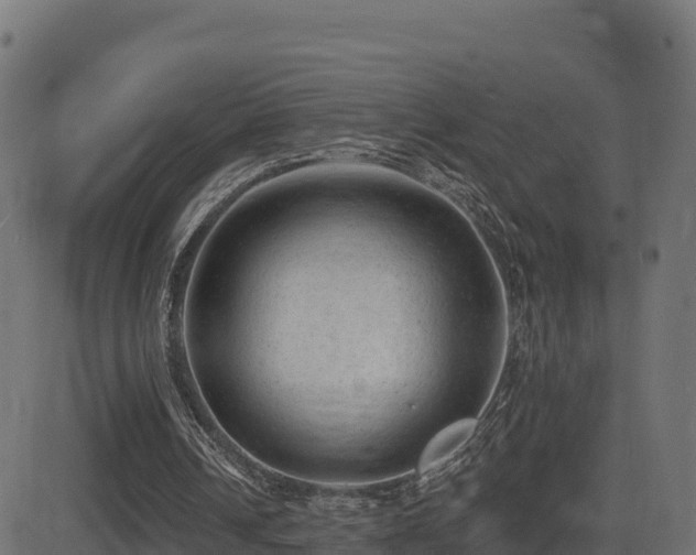 X0000081480242200701121452