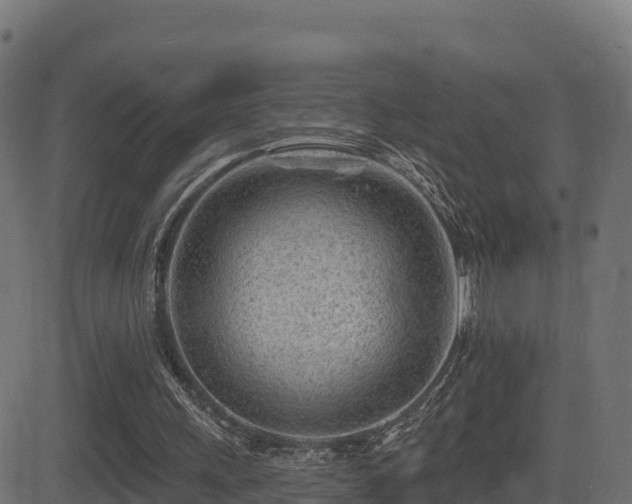X0000081480243200701121452
