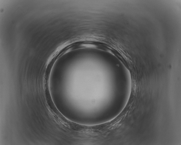 X0000081480244200701121452