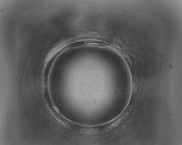 X0000081480245200701121452