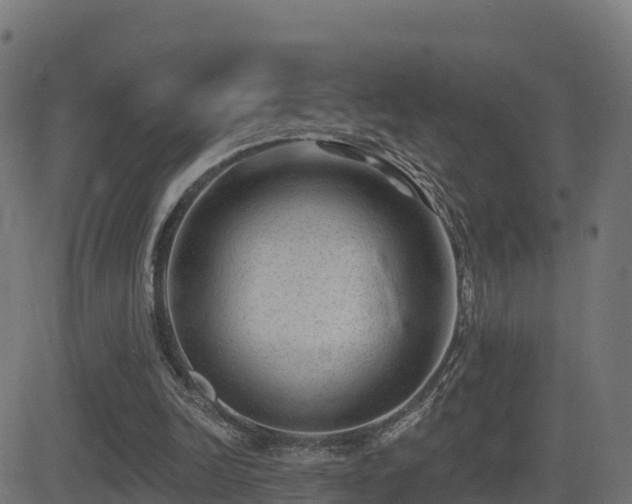 X0000081480246200701121452