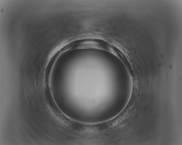 X0000081480248200701121452