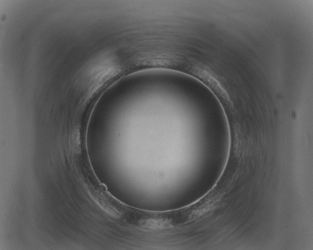X0000081480251200701121452