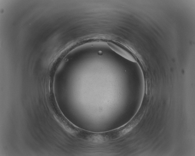 X0000081480253200701121452