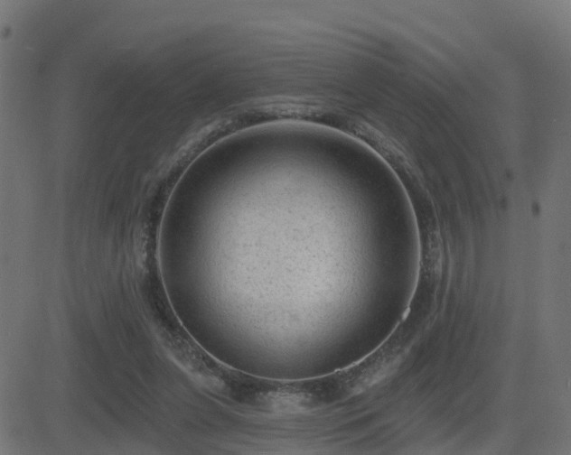 X0000081480255200701121452