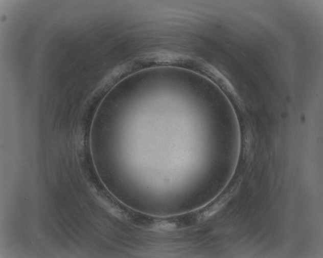 X0000081480257200701121452