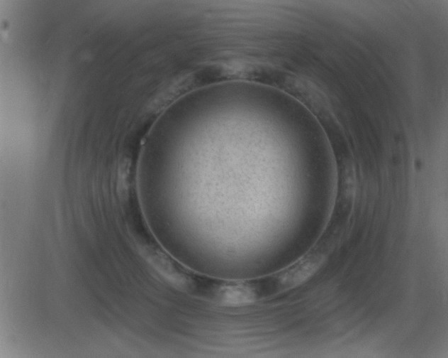 X0000081480275200701121452