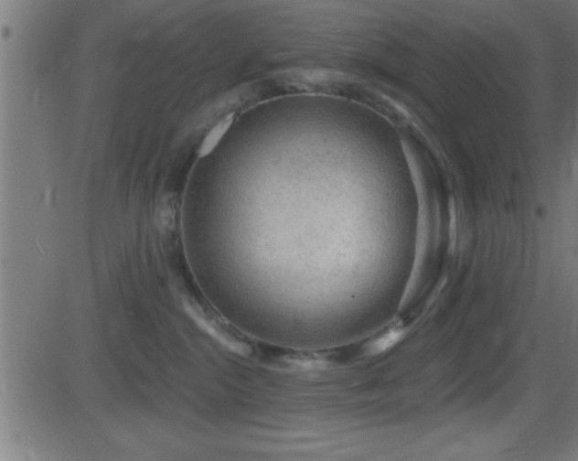 X0000081480284200701121452