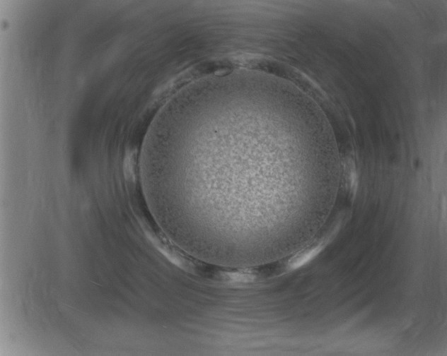 X0000081480286200701121452