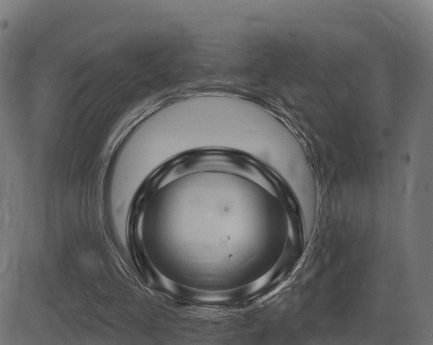 X0000081480293200701121452