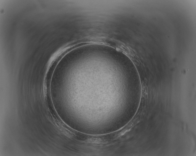 X0000081480294200701121452