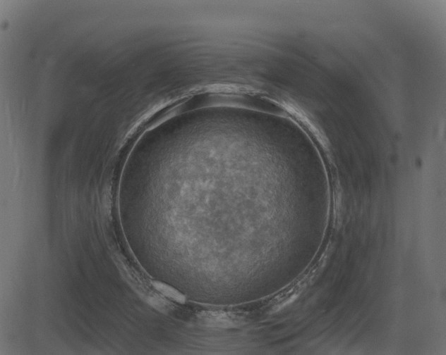 X0000081480297200701121451