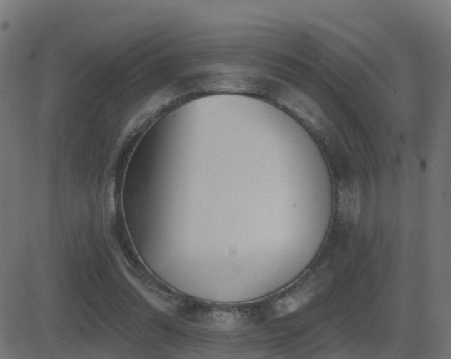 X0000081480302200701121451