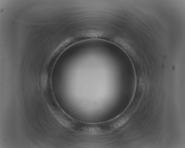 X0000081480304200701121451