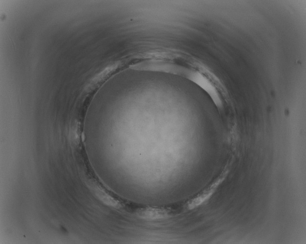 X0000081480305200701121451
