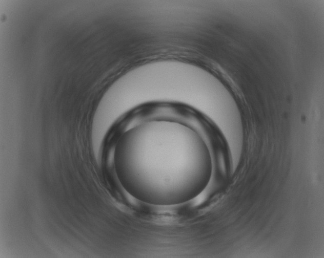 X0000081480313200701121451