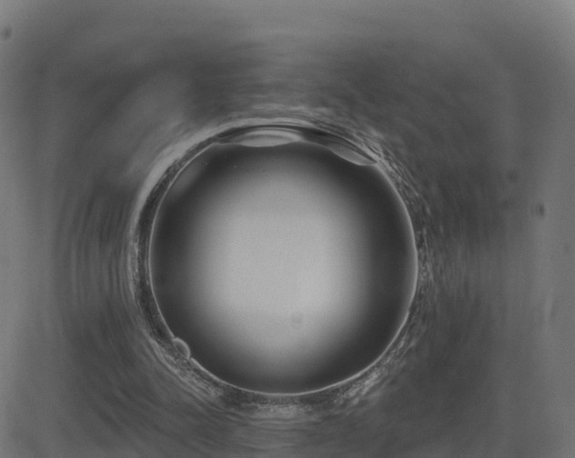 X0000081480342200701121450