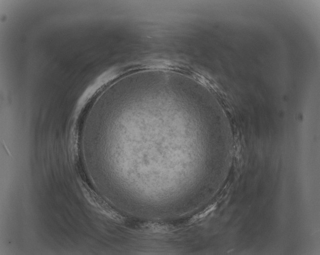 X0000081480343200701121450