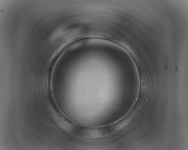 X0000081480349200701121450