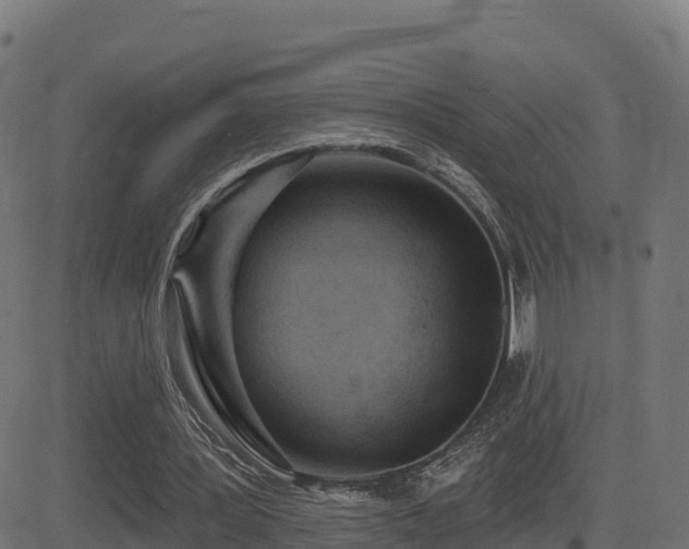 X0000081480387200701121450