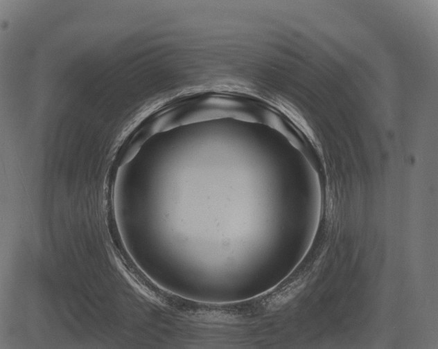 X0000081480389200701121450