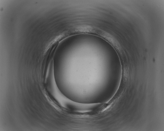 X0000081480397200701121450