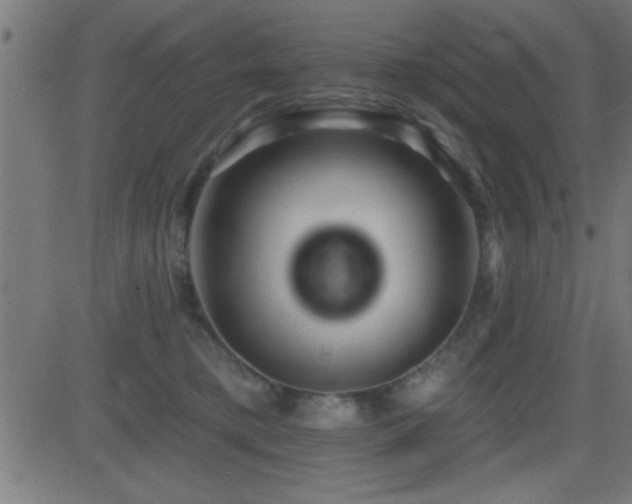 X0000081480421200701121449