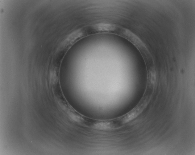 X0000081480422200701121449