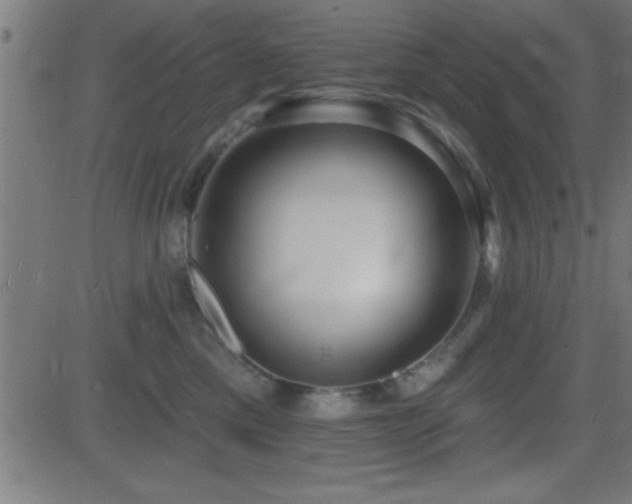 X0000081480425200701121449