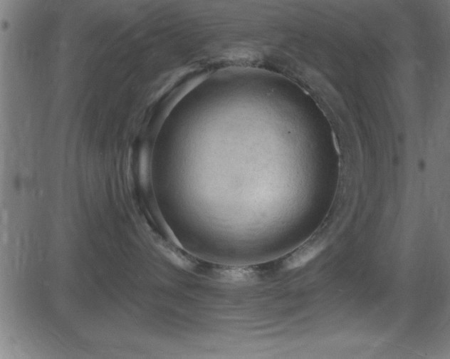 X0000081480432200701121449