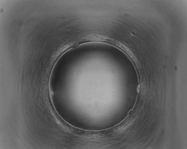 X0000081480433200701121448
