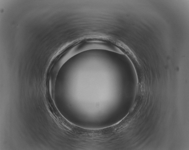 X0000081480436200701121449