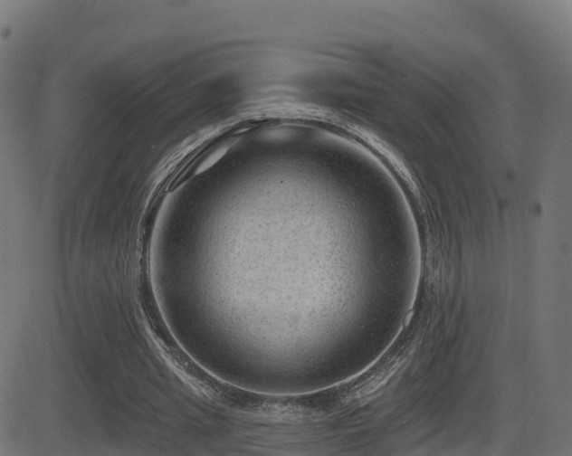 X0000081480437200701121449