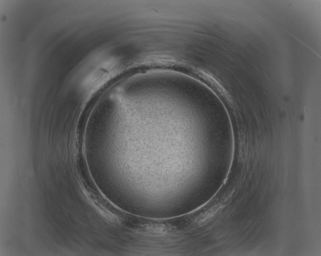 X0000081480439200701121449