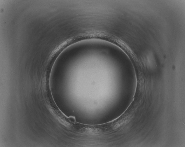 X0000081480442200701121449