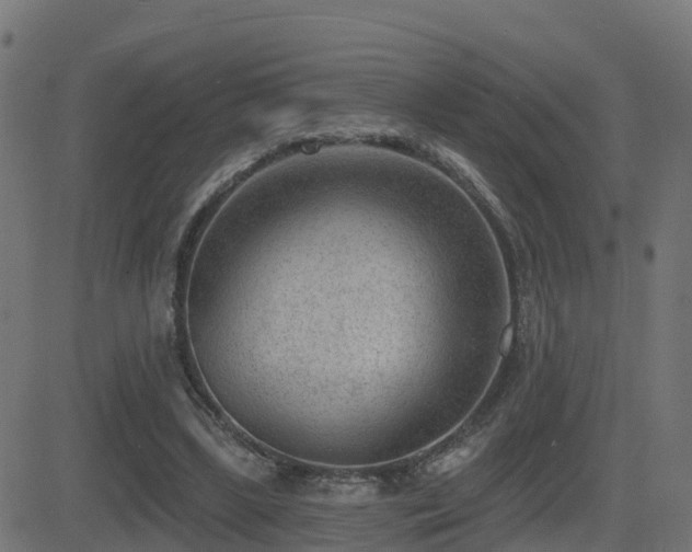 X0000081480443200701121449